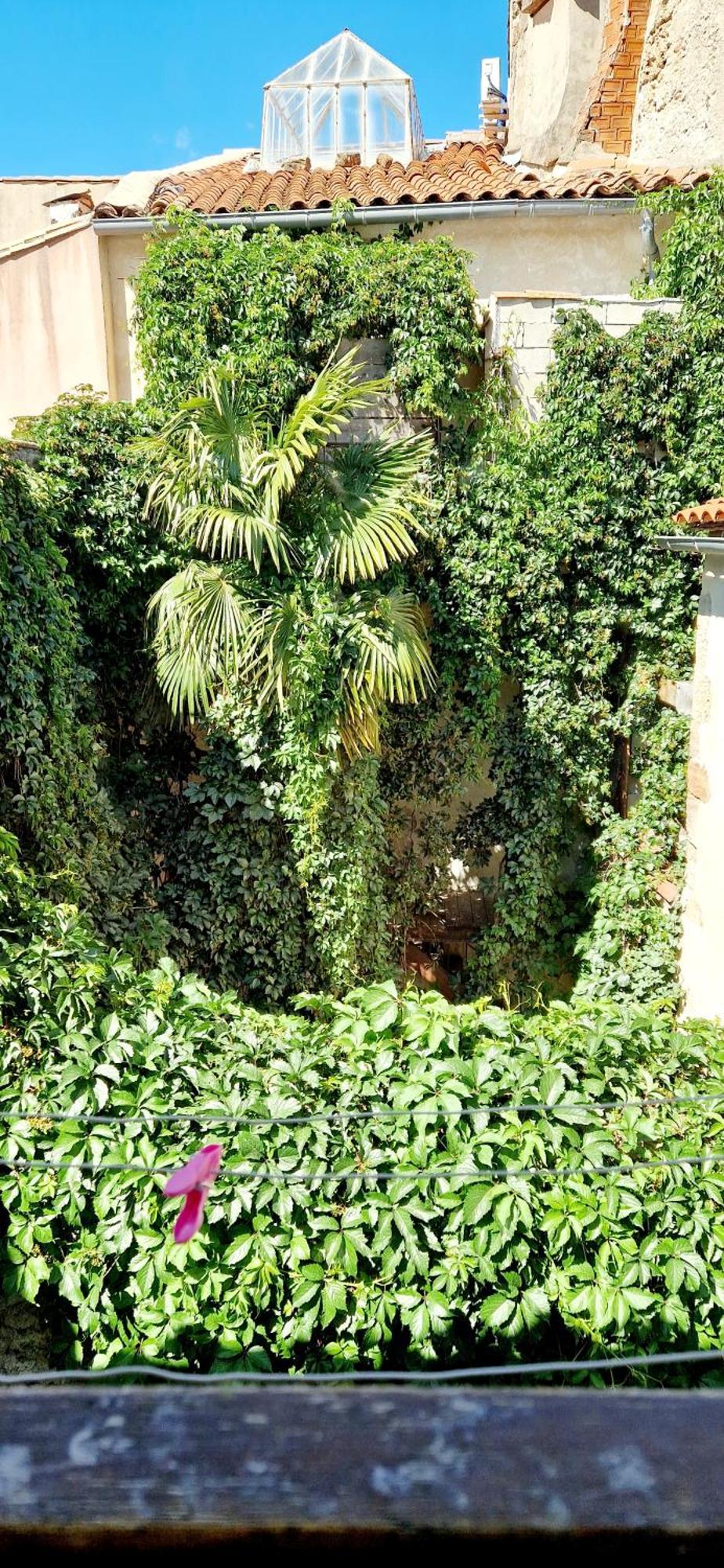 Appartement Plein Centre-Ville Lodève エクステリア 写真